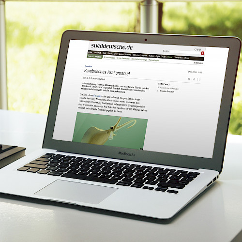 Entwicklung Online-Redaktionsportal mit Polopoly für die Süddeutsche Zeitung