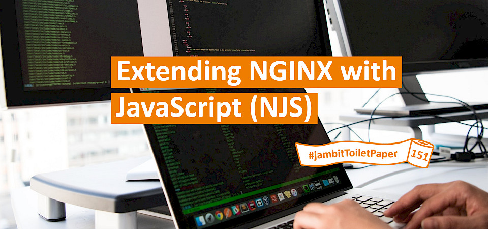 Extending-NGINX-with-JavaScript-NJS-Visual