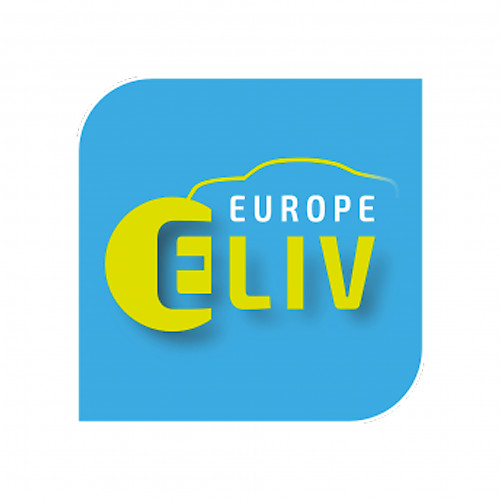 International VDI Congress ELIV 2021